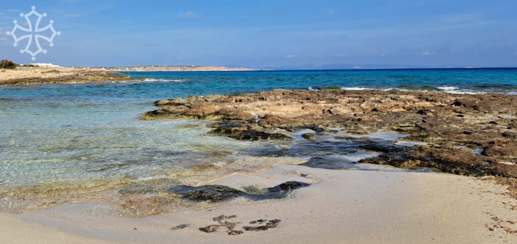 formentera playa